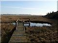 Boardwalk at Fingringhoe Wick Nature Reserve in CO7 8BE