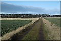 Farm track, Dirleton in EH39 5EL