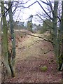 Trackbed of old railway at Lartington in DL12 9DA