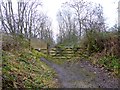 Tees Railway Path at Cotherstone in DL12 9PL