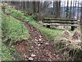 Bench and Scrambling Track in CF32 8BX