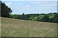 Grassland near Swite's Wood in RH19 3EY