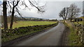 Lane between Daddryshield and Huntshield Ford in DL13 1LP