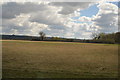 Farmland east of Stainswick Copse in SN6 8GG