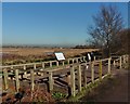 Viewing platform, Ham Wall RSPB Nature Reserve in BA16 9SE