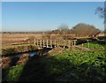 Footbridge, Ham Wall RSPB Nature Reserve in BA16 9SE
