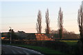 Poplars and bales next to Moorhouse Road, Laxton in NG22 0SZ