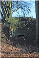 Lime kiln near the river Axe in EX13 7LP