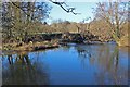 Site of old mill stream weir on the Axe in EX13 7LP