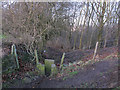 Narrow stone stile on the edge of Liley Wood in WF14 8EQ