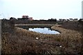 The pond beside the roundabout at Holystone Farm in NE27 0SG