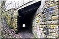 North entrance to bridge carrying mineral line over the old rope waggonway in NE27 0JT