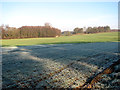 Frosty fields by Primrose Hole in NR12 7BF