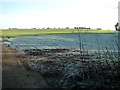 Frosty fields north of Dobb's Lane in NR12 7BF