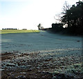 Frosty field north of Limekiln Hole in NR12 7BF