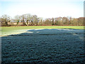 Frosty field east of Primrose Hole in NR12 7BF
