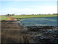 Frosty fields north of Dobb's Lane in NR13 6NL