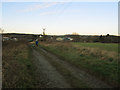 Track to Ravensthorpe Road in WF12 9HJ