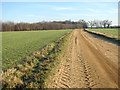 Unmade road to Skinner's Lane in NR13 6NL