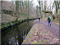 Camlas Nedd / Neath Canal in SA10 8HH