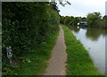Towpath along the Grand Union Canal near Dudswell in HP4 3TG