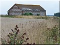 Marleycombe Hill - Barn in SP5 5AY