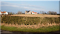 Hedge bounding field at road junction in DL2 3AL