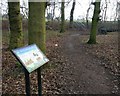 Path at the Montrose Open Space in LE2 8NA