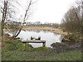 Pond, Havannah Nature Reserve, Hazelrigg in NE13 9EX
