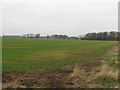 Arable land east of Dinnington in NE13 7JU