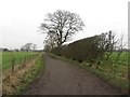 Public bridleway in NE13 7JU