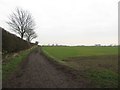 Public bridleway and arable land in Brunswick