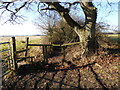 Gate and stile at field boundary south of Lipride Farm in BN5 9SF