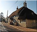 Thatched Cottage on Shute Lane in TA10 9JP