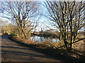 Green Acre Pond by Jebb Lane in S75 4BS