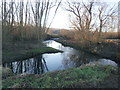 The Meandering River Dearne in S75 4DG