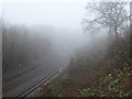 A foggy morning on the Central line near Grange Hill station in Grange Hill Ward