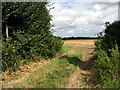 Public Footpath near Honing Row in NR28 9RW