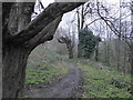 Woodland path off Chigwell Road in IG8 8BB