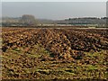 Newly ploughed field, east of Highbrooks Road in TA11 7JW