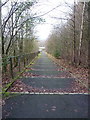 Steps on footway beside the A4640 in TF2 9PD