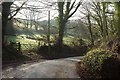 Lane near Coombe in PL26 7LP