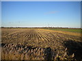 Field north of Wisbech Road, Thorney in PE6 0RZ