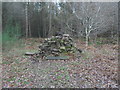 Chopwell Wood: Diggers Folly in NE17 7EL