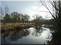 River Wharfe beside Ilkley Golf Course in LS29 0SA
