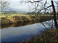 The River Wharfe near Riversdale in LS29 8BD