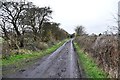 Looking north along waggonway towards Seghill in NE23 7HJ