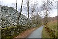Slate piles near Moss Rigg Wood in LA22 9NT