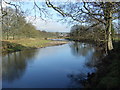 The River Wharfe near Laund House Farm in LS21 2DJ