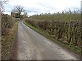 Country road to Munsley in HR8 2SJ